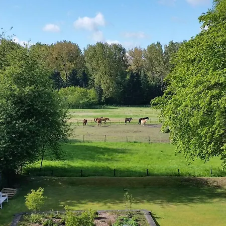 شقة Schwalbennest *