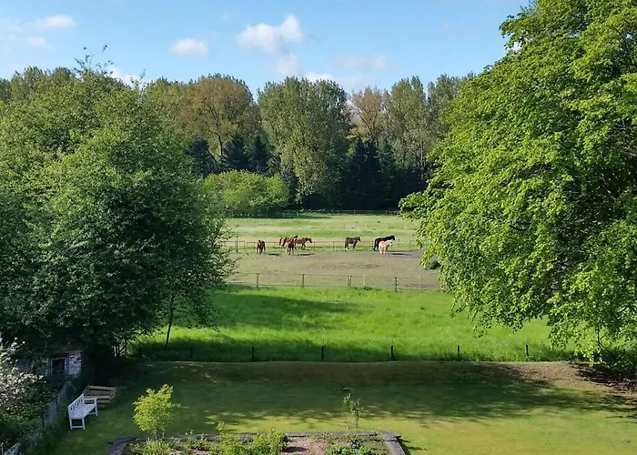 Lejlighed Schwalbennest *